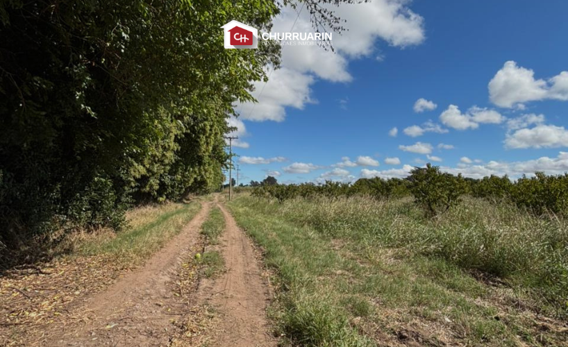 Campo en venta 3 hectáreas en San Pedro