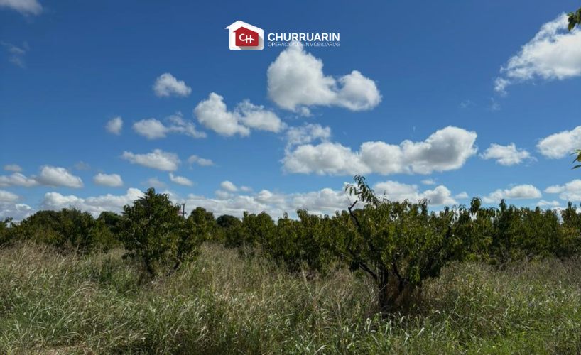 Campo en venta 3 hectáreas en San Pedro
