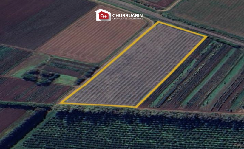 Campo en venta 3 hectáreas en San Pedro