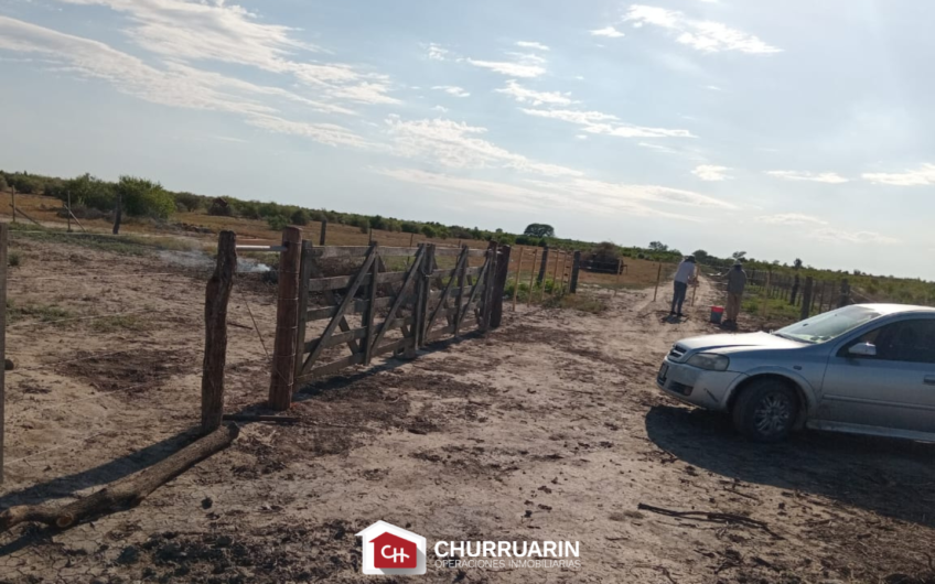 Campo en venta 1500 has en Río Seco Córdoba | Ganadero con agrícola