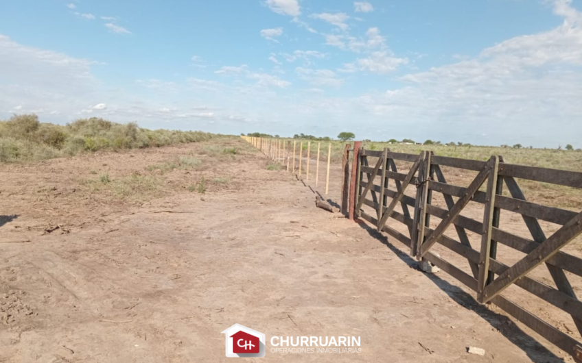 Campo en venta 1500 has en Río Seco Córdoba | Ganadero con agrícola
