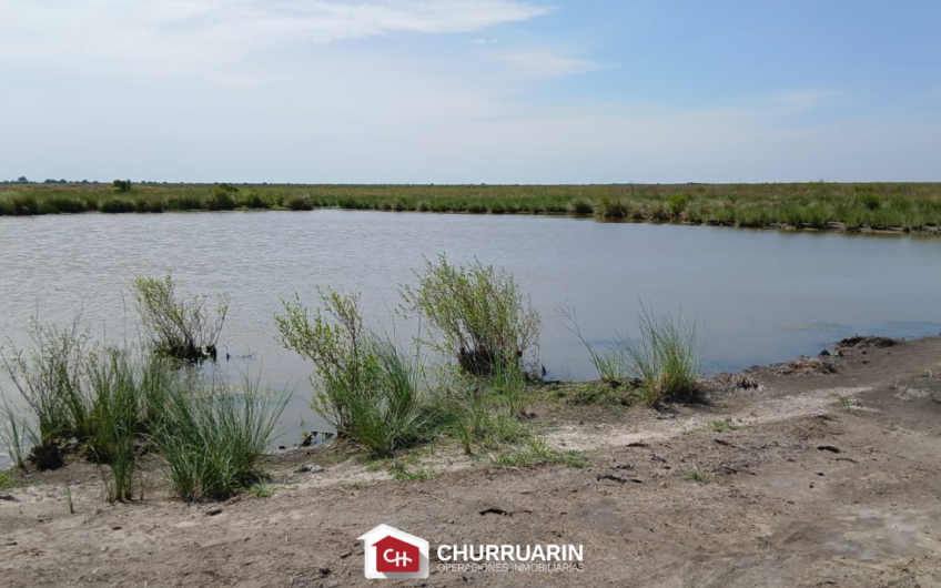 Campo en venta 1500 has en Río Seco Córdoba | Ganadero con agrícola
