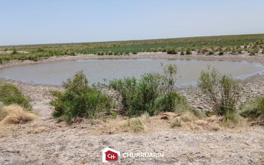 Campo en venta 1500 has en Río Seco Córdoba | Ganadero con agrícola