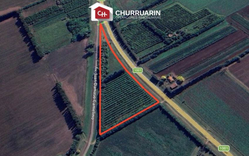 Venta de 2 Hectáreas en Río Tala