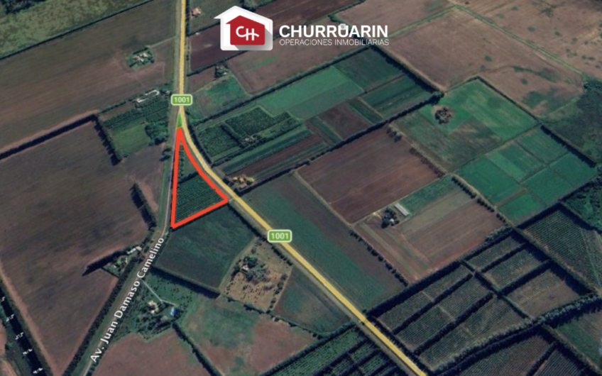 Venta de 2 Hectáreas en Río Tala