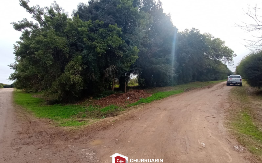 Lote en Venta en V. De Obligado, San Pedro | Vista al Río | 1.250 m²