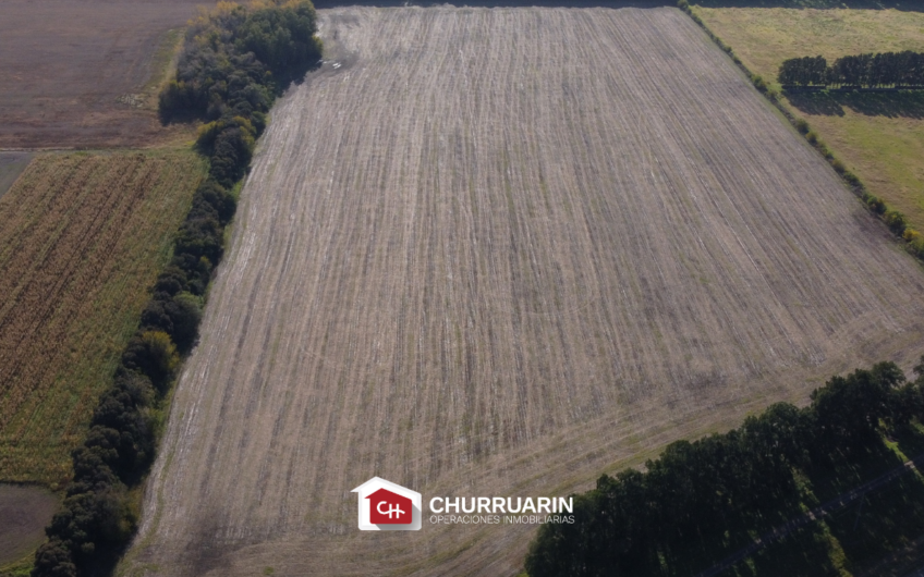 Campo en Venta sobre Ruta 9 en San Pedro | 14 Ha