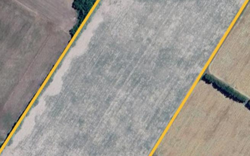 Campo en Venta sobre Ruta 9 en San Pedro | 14 Ha