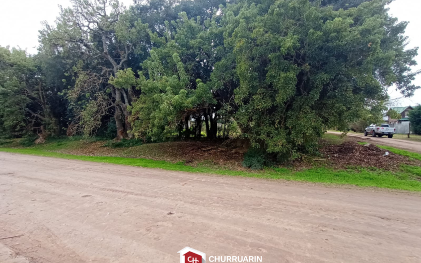 Lote en Venta en V. De Obligado, San Pedro | Vista al Río | 1.250 m²
