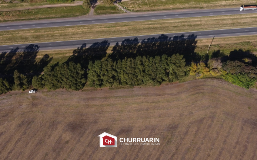 Campo en Venta sobre Ruta 9 en San Pedro | 14 Ha