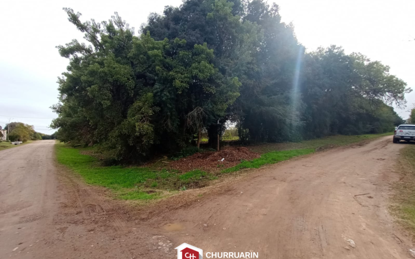 Lote en Venta en V. De Obligado, San Pedro | Vista al Río | 1.250 m²