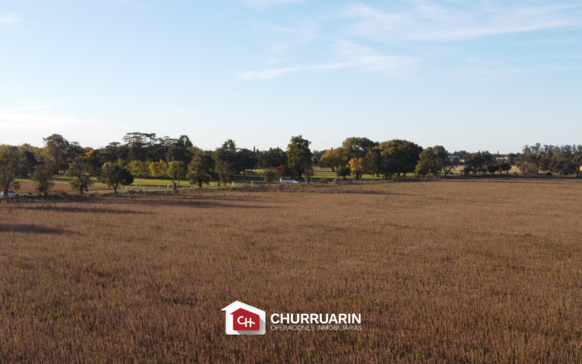 Campo en Venta sobre Ruta 9 en San Pedro | 14 Ha