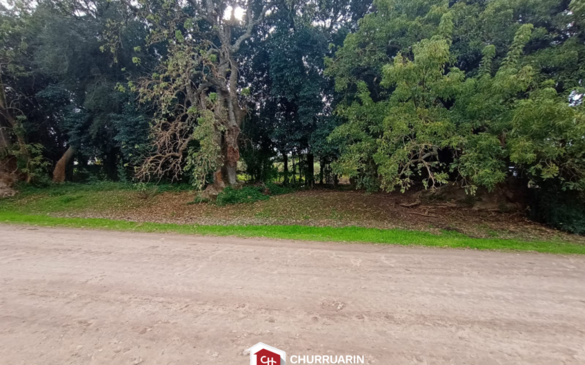 Lote en Venta en V. De Obligado, San Pedro | Vista al Río | 1.250 m²