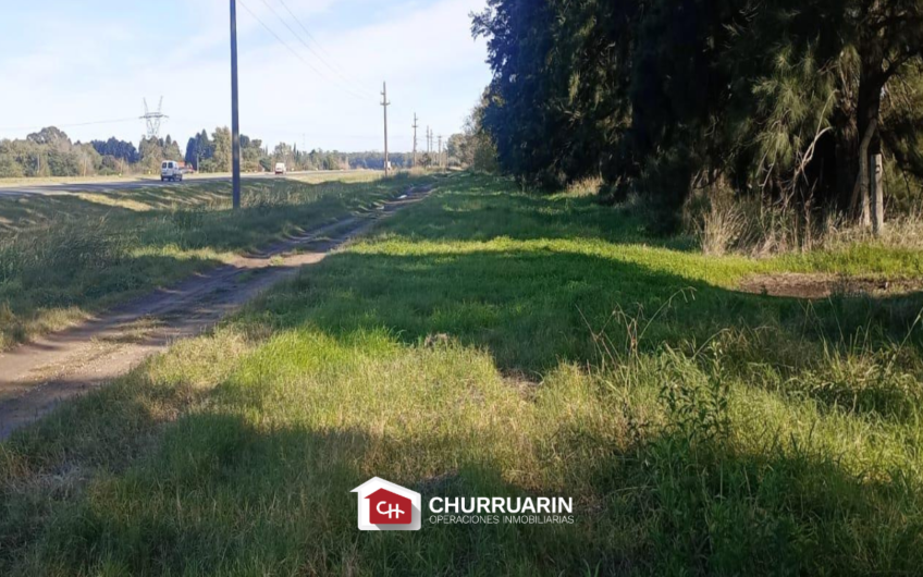 Campo en Venta sobre Ruta 9 en San Pedro | 14 Ha