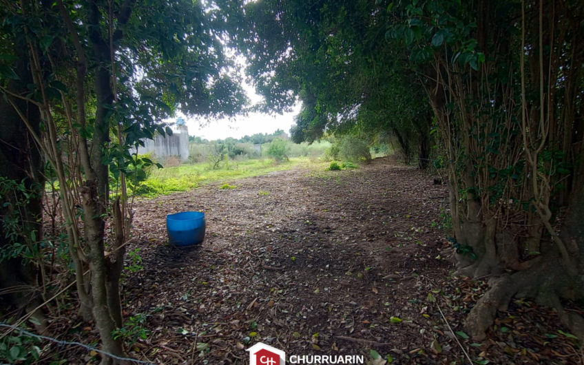 Lote en Venta en V. De Obligado, San Pedro | Vista al Río | 1.250 m²