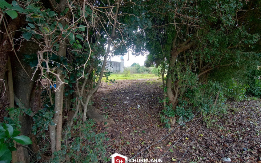 Lote en Venta en V. De Obligado, San Pedro | Vista al Río | 1.250 m²