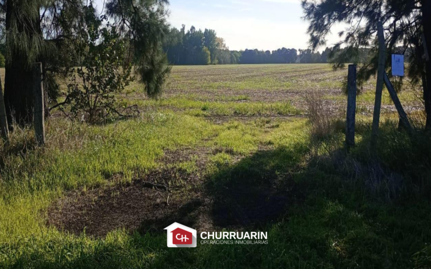 Campo en Venta sobre Ruta 9 en San Pedro | 14 Ha