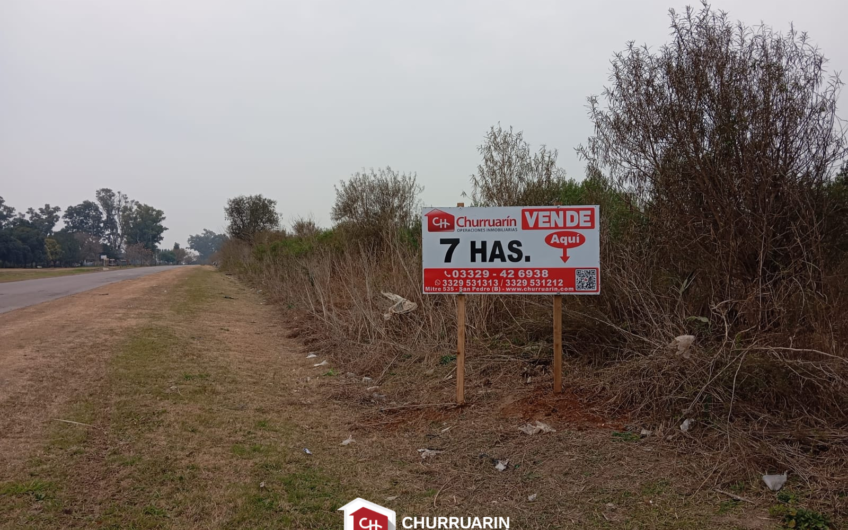 Campo de 7 hectáreas en Ramallo sobre Av. General San Martín | Apto loteo