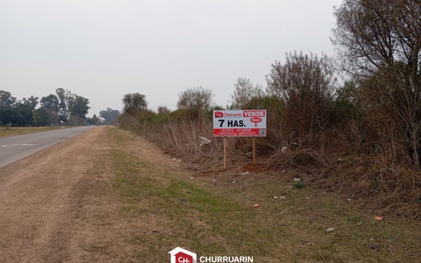 Campo de 7 hectáreas en Ramallo sobre Av. General San Martín | Apto loteo