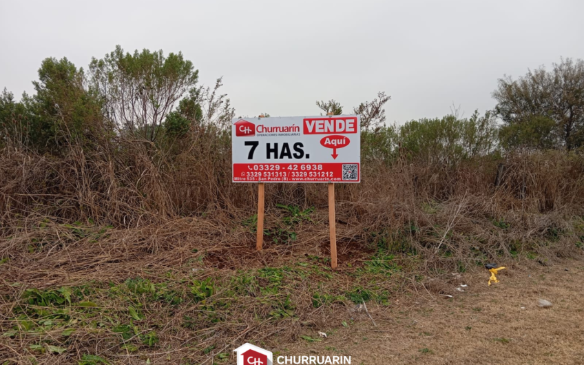 Campo de 7 hectáreas en Ramallo sobre Av. General San Martín | Apto loteo