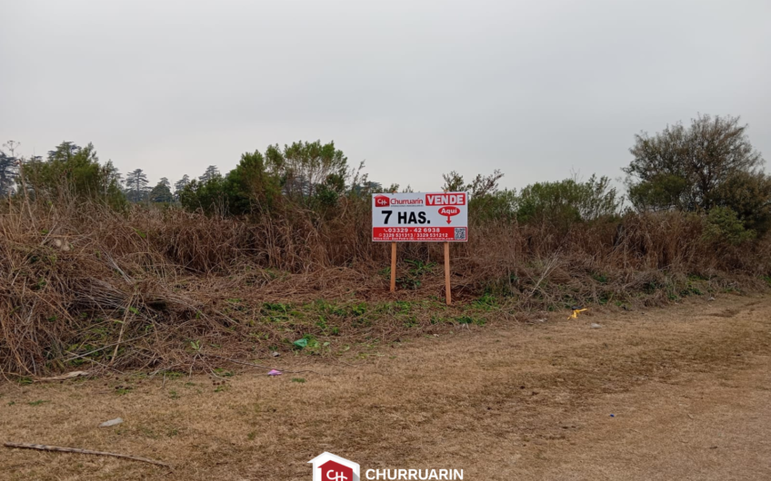 Campo de 7 hectáreas en Ramallo sobre Av. General San Martín | Apto loteo